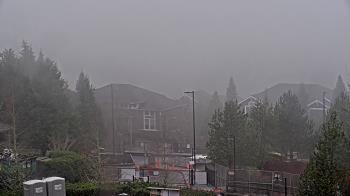 Weather camera view of Open Window School 1200 ft elev Cougar Mtn.