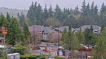 Weather camera view of Open Window School 1200 ft elev Cougar Mtn.