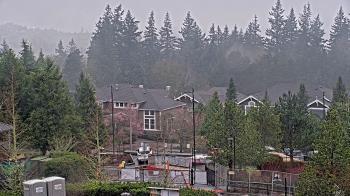 Weather camera view of Open Window School 1200 ft elev Cougar Mtn.