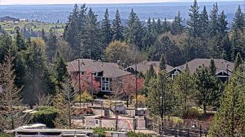 Weather camera view of Open Window School 1200 ft elev Cougar Mtn.