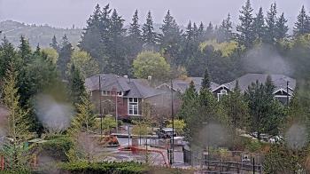 Weather camera view of Open Window School 1200 ft elev Cougar Mtn.