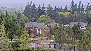 Weather camera view of Open Window School 1200 ft elev Cougar Mtn.