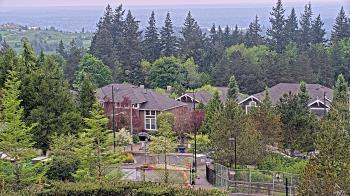 Weather camera view of Open Window School 1200 ft elev Cougar Mtn.