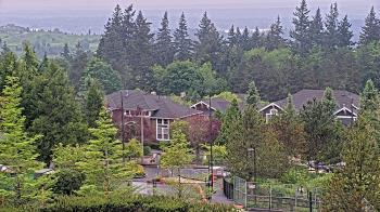 Weather camera view of Open Window School 1200 ft elev Cougar Mtn.