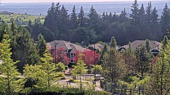 Weather camera view of Open Window School 1200 ft elev Cougar Mtn.