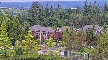 Weather camera view of Open Window School 1200 ft elev Cougar Mtn.