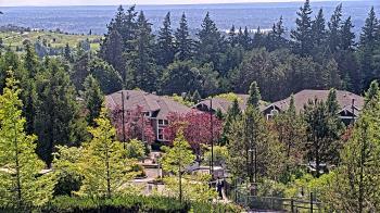 Weather camera view of Open Window School 1200 ft elev Cougar Mtn.
