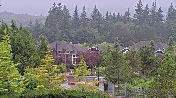 Weather camera view of Open Window School 1200 ft elev Cougar Mtn.