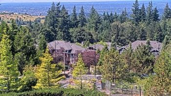 Weather camera view of Open Window School 1200 ft elev Cougar Mtn.