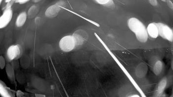 Weather camera view of Truist Sports Park.