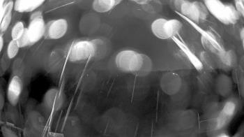 Weather camera view of Truist Sports Park.