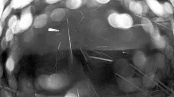 Weather camera view of Truist Sports Park.