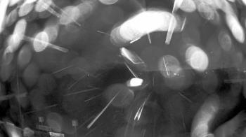 Weather camera view of Truist Sports Park.