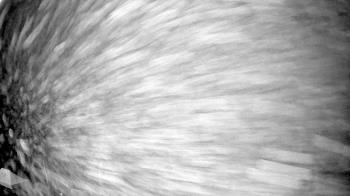 Weather camera view of Truist Sports Park.