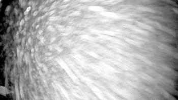 Weather camera view of Truist Sports Park.