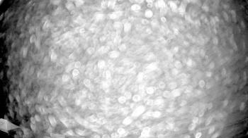 Weather camera view of Truist Sports Park.