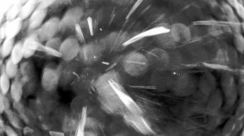 Weather camera view of Truist Sports Park.