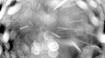 Weather camera view of Truist Sports Park.