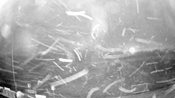 Weather camera view of Truist Sports Park.