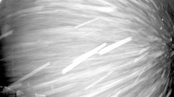 Weather camera view of Truist Sports Park.