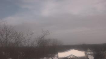 Weather camera view of St Ambrose School.