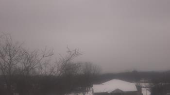 Weather camera view of St Ambrose School.