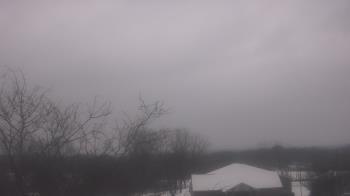 Weather camera view of St Ambrose School.