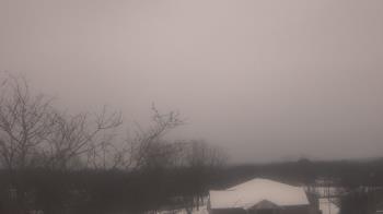 Weather camera view of St Ambrose School.