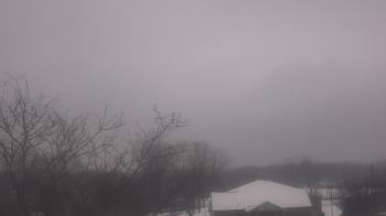 Weather camera view of St Ambrose School.