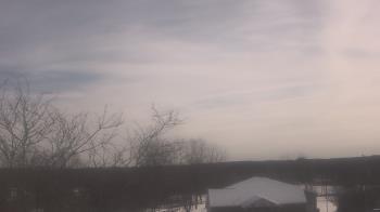 Weather camera view of St Ambrose School.