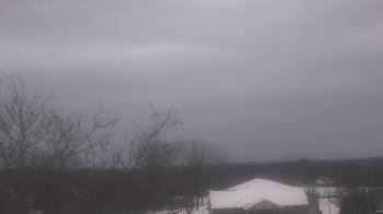 Weather camera view of St Ambrose School.