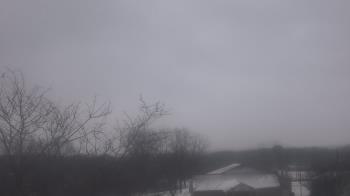 Weather camera view of St Ambrose School.