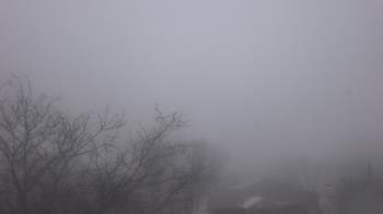 Weather camera view of St Ambrose School.