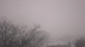 Weather camera view of St Ambrose School.