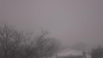 Weather camera view of St Ambrose School.