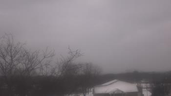 Weather camera view of St Ambrose School.