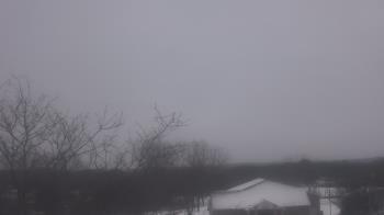Weather camera view of St Ambrose School.