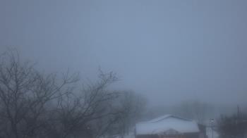 Weather camera view of St Ambrose School.