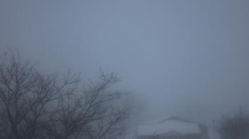 Weather camera view of St Ambrose School.