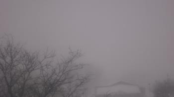 Weather camera view of St Ambrose School.