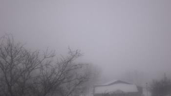 Weather camera view of St Ambrose School.