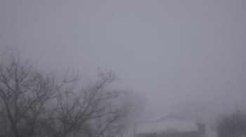 Weather camera view of St Ambrose School.