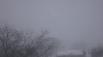 Weather camera view of St Ambrose School.