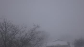 Weather camera view of St Ambrose School.