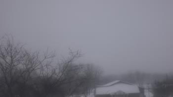 Weather camera view of St Ambrose School.