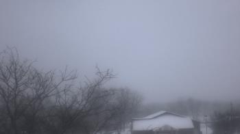 Weather camera view of St Ambrose School.