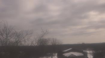 Weather camera view of St Ambrose School.