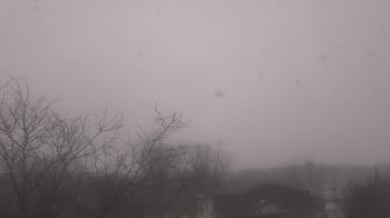 Weather camera view of St Ambrose School.
