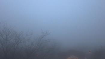 Weather camera view of St Ambrose School.