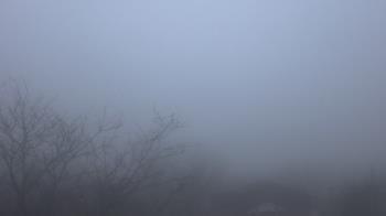 Weather camera view of St Ambrose School.